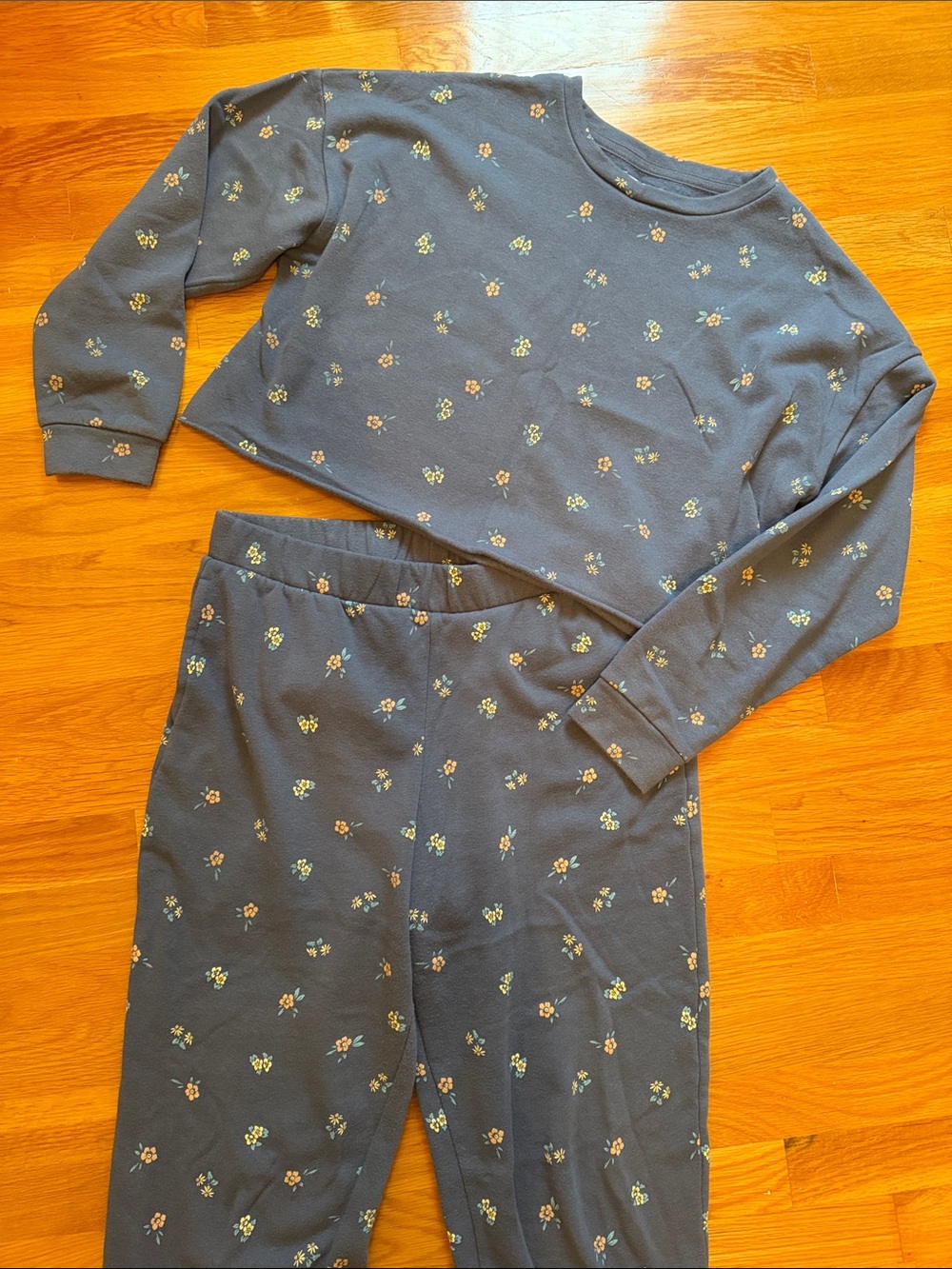 Colsie Womans Blue Floral Sweat Set - Long Sleeve Cropped Top & Pants
